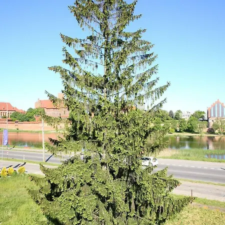 Gosciniec W Malborku *